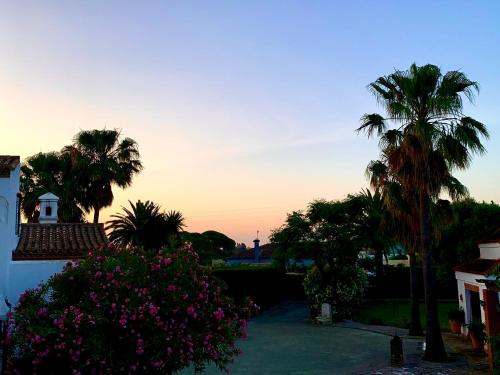 Κήπος έξω από το Studio La Maravilla 1001 Nacht, Playa La Barrosa
