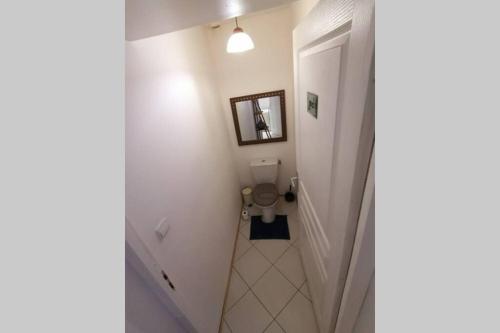 une petite salle de bain avec toilettes et miroir dans l'établissement Maison chaleureuse et de détente avec piscine et spa, à Chassemy