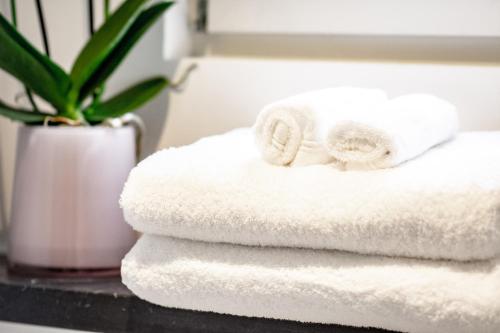 a stack of towels on a counter with a plant at Petite Maison Bennebroek in Bennebroek