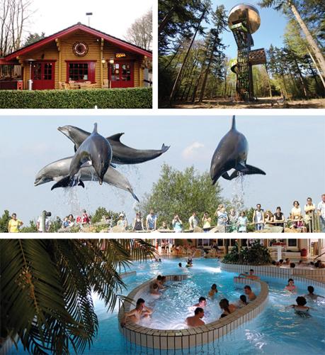 a collage of three pictures of a dolphin in a pool at Luxe Chalet 146 in Putten