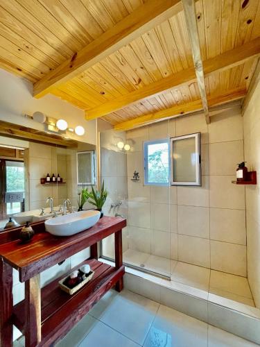 a bathroom with a sink and a shower at Eco Cabaña Río con Pileta privada in Tigre