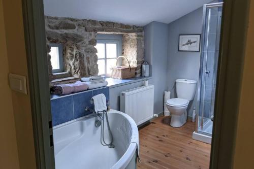 une salle de bain avec baignoire et toilettes dans l'établissement Bienvenue au Barail, maison en pleine nature, à Sérigné