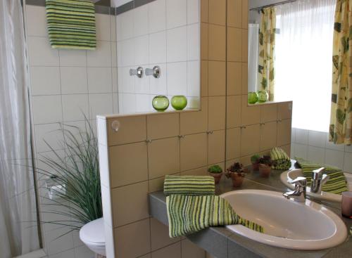 a bathroom with a sink and a toilet and a mirror at Apart-Hotel Pension Roßmayer in Bad Füssing