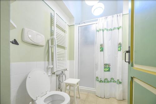 a white bathroom with a toilet and a shower at Vigna Sant' Amico Country House in Morro dʼAlba