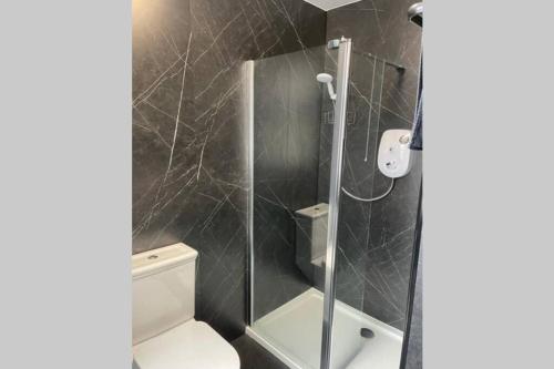 a bathroom with a toilet and a glass shower at Preston Villa, spacious ground floor apartment in Buckie