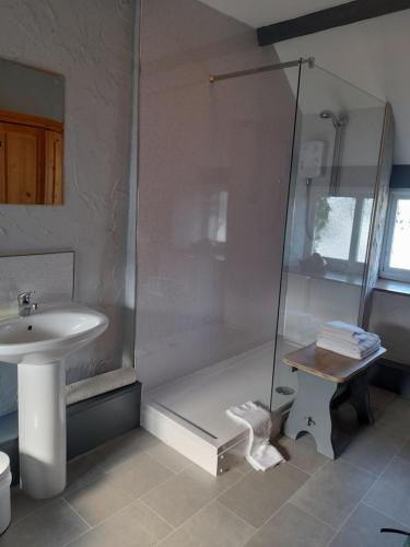 a bathroom with a shower and a sink at The Golden Lion Inn in Denbigh