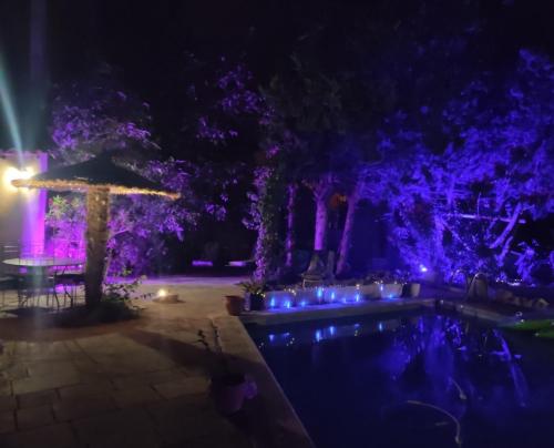 Πισίνα στο ή κοντά στο Gites Climatisés Piscine Chauffée La Balancelle