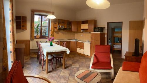 Kuchyň nebo kuchyňský kout v ubytování Apartmán V hájích Malá Skála