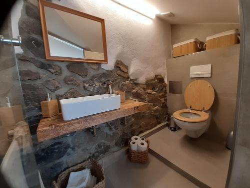 a bathroom with a toilet and a sink and a mirror at Apartmán Pod Kalváriou in Kremnica