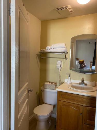 a bathroom with a toilet and a sink and a mirror at Dawn’s Comfort Zone in Kingston