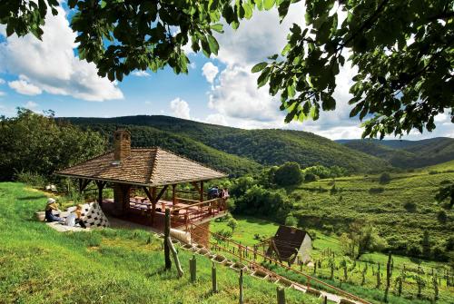 Un paisaje natural cerca de la casa de huéspedes
