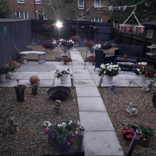 a garden with many potted plants and flowers at Blaney house 21 in Newcastle upon Tyne