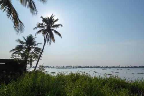 two palm trees next to a body of water at Aqualillies Water Front Heritage Homestay in Kumarakom