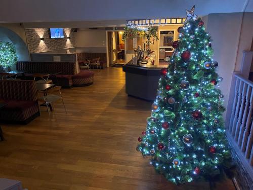 a green christmas tree in the middle of a room at Smithton Hotel in Inverness