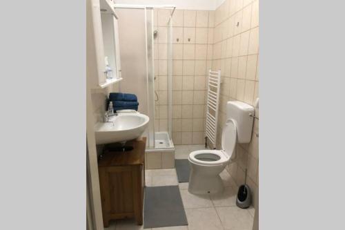 Wohnung in Wien tesisinde bir banyo