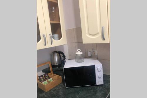 eine Mikrowelle auf einer Theke in einer Küche in der Unterkunft Wohnung in Wien in Wien