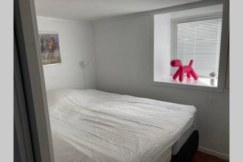 1 dormitorio con 1 cama con un perro rojo en la ventana en Kjellerleilighet - nært Haukeland sykehus. en Bergen