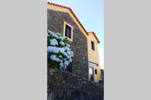 a building with a plant on the side of it at Casinha de Xisto - Serra do Açor in Benfeita