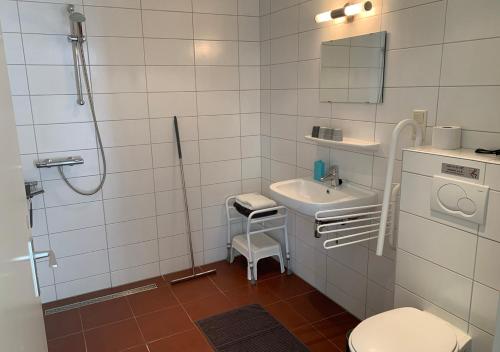a bathroom with a toilet and a sink and a shower at Waddenhoes Gastenverblijven in Pieterburen
