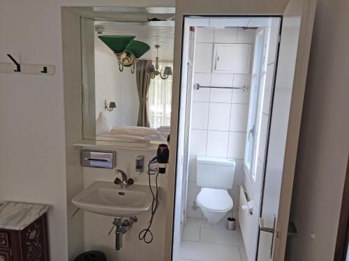 ein Badezimmer mit einem Waschbecken, einem WC und einem Spiegel in der Unterkunft Hotel Restaurant Jungfrau in Lauterbrunnen