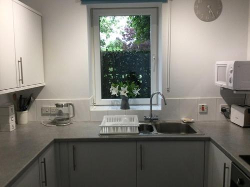 encimera de cocina con fregadero y ventana en Flat 2 Frank Lewis House, en Hay-on-Wye
