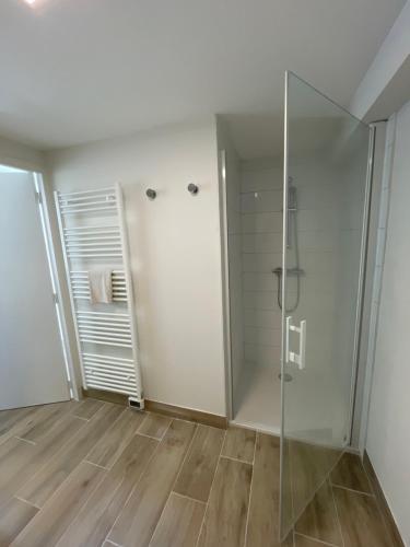 une salle de bain avec douche et porte vitrée dans l'établissement ALBIAPPART HYPER CENTRE, à Albi