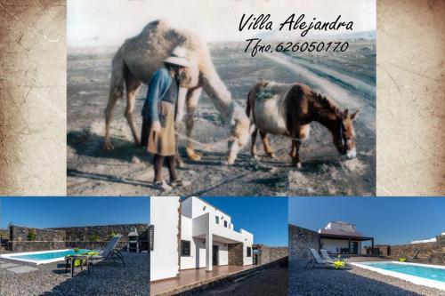 a collage of pictures of a horse and a woman at Villa Alejandra in Lajares