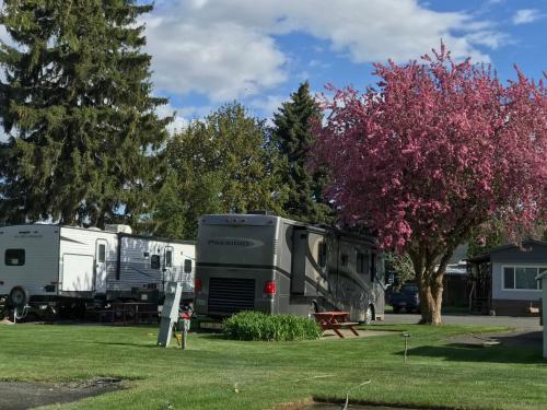 Zahrada ubytování Goose Creek RV Park & Campground