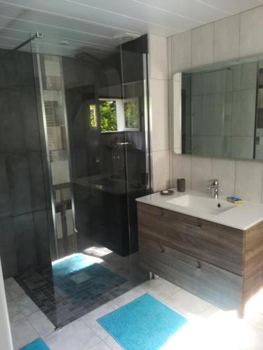 une salle de bain avec une douche, un lavabo et un miroir dans l'établissement l'accueil, à Guéron