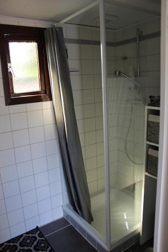 a shower with a glass door in a bathroom at Heerlijk chalet op 5* camping in Tuitjenhorn