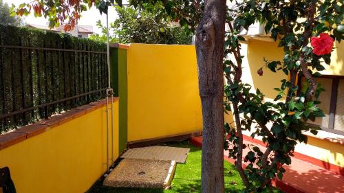 Gallery image of Blu Marlin - IUN Q4073 in Girasole