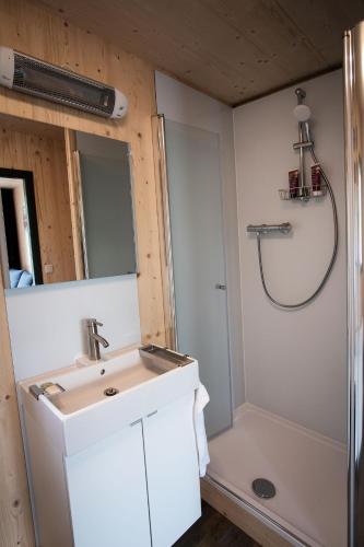 a bathroom with a sink and a shower at Ferienhaus erholzeit. in Wettringen