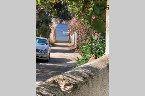 um carro estacionado ao lado de uma rua com flores em Dimitrios em Porto Kagio