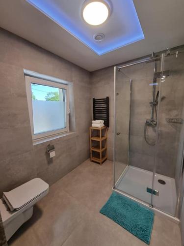 a bathroom with a shower and a toilet and a window at Apartamenty Kolorowa in Szczyrk