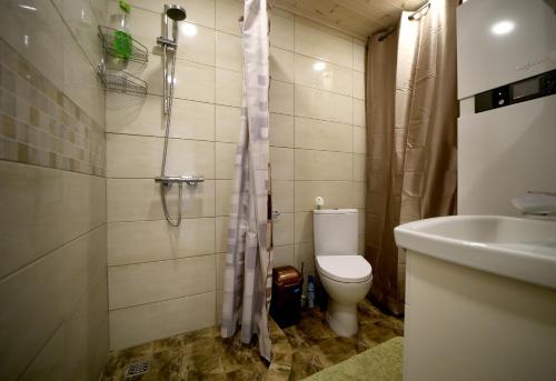 y baño con aseo, lavabo y ducha. en Kėdainiai Old town apartment en Kėdainiai