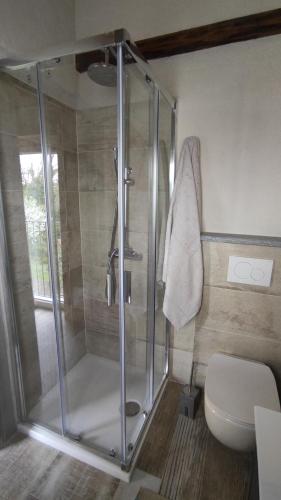 La Terra Buona guest house في Villa San Secondo: كشك دش في حمام مع مرحاض