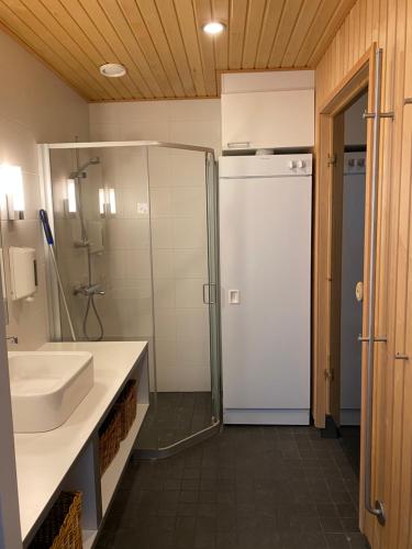 a bathroom with a shower and a sink and a toilet at Tahko Chalets B402 in Tahkovuori