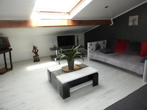 a living room with a couch and a potted plant at Appartement mansardé et climatisé 50 m2 in Pompignan