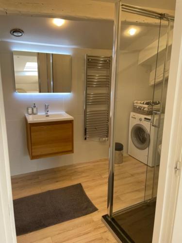 a bathroom with a sink and a washing machine at Apartment on Dante street next to the sea in Nice