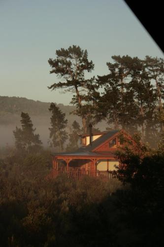 a house in the middle of a field with trees at Reflections Eco-Reserve in Wilderness