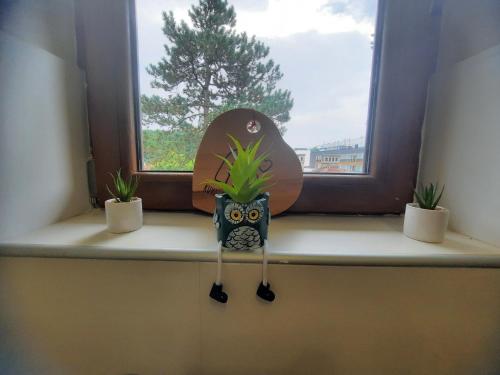 Fotografie z fotogalerie ubytování Apartman Korićanac Vrnjačka Banja v destinaci Vrnjačka Banja