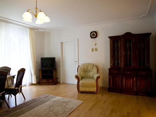 a living room with a chair and a tv at Maria-Viktoria Apartment in Baden-Baden