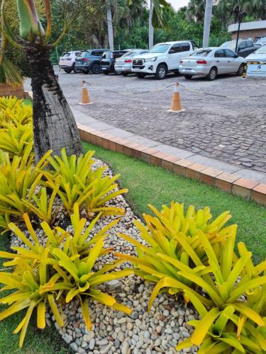 Taman di luar Conforto e Aventura Flat Lençois Barreirinhas
