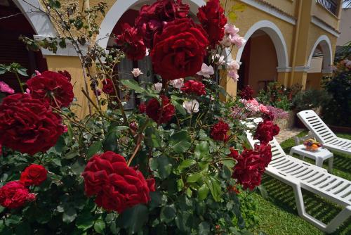 a bunch of red roses next to two white chairs at Eleni Apartments in Roda