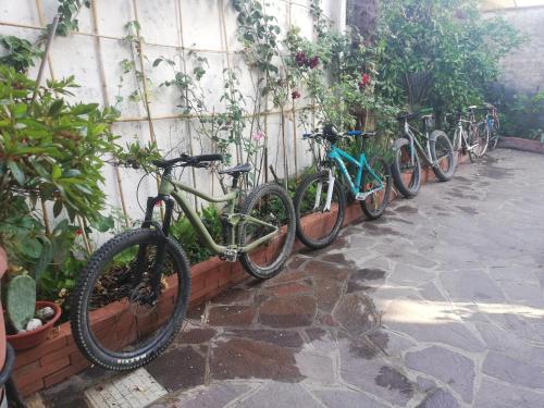 a row of bikes parked next to a wall at B&B Casa Fedora in Montecatini Terme