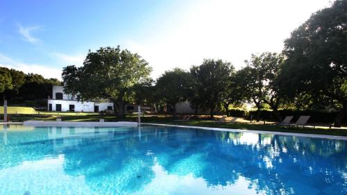 a large blue swimming pool with trees in the background at Tenuta Monacelle in Selva di Fasano