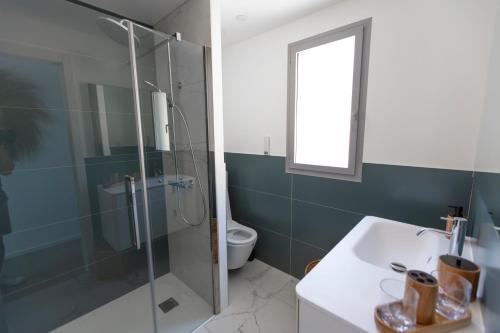 a bathroom with a shower and a sink and a toilet at VILLA ALBA ROSULA in Ajaccio