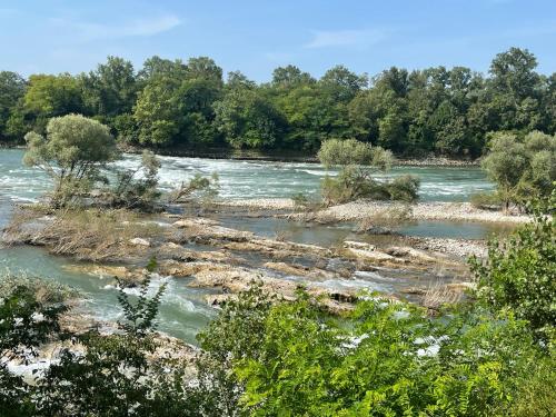 a river with rocks and trees in the background at Schlaf aus im Schwedenhaus in Eimeldingen