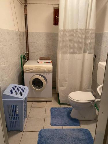 a bathroom with a washing machine and a toilet at Vikendica ABASA Vlašić in Vlasic