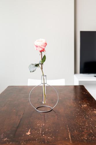 a pink rose in a vase on a table at Majson EJ in Civitanova Marche